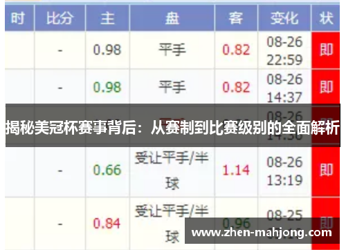 揭秘美冠杯赛事背后：从赛制到比赛级别的全面解析