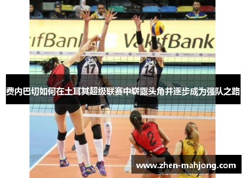 费内巴切如何在土耳其超级联赛中崭露头角并逐步成为强队之路