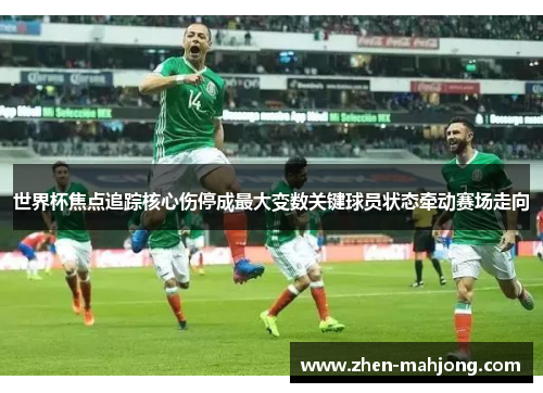 世界杯焦点追踪核心伤停成最大变数关键球员状态牵动赛场走向