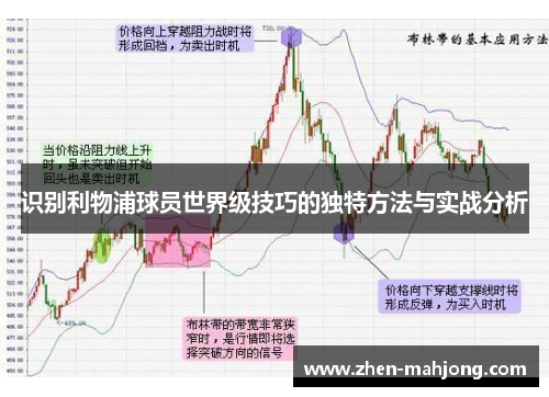 识别利物浦球员世界级技巧的独特方法与实战分析